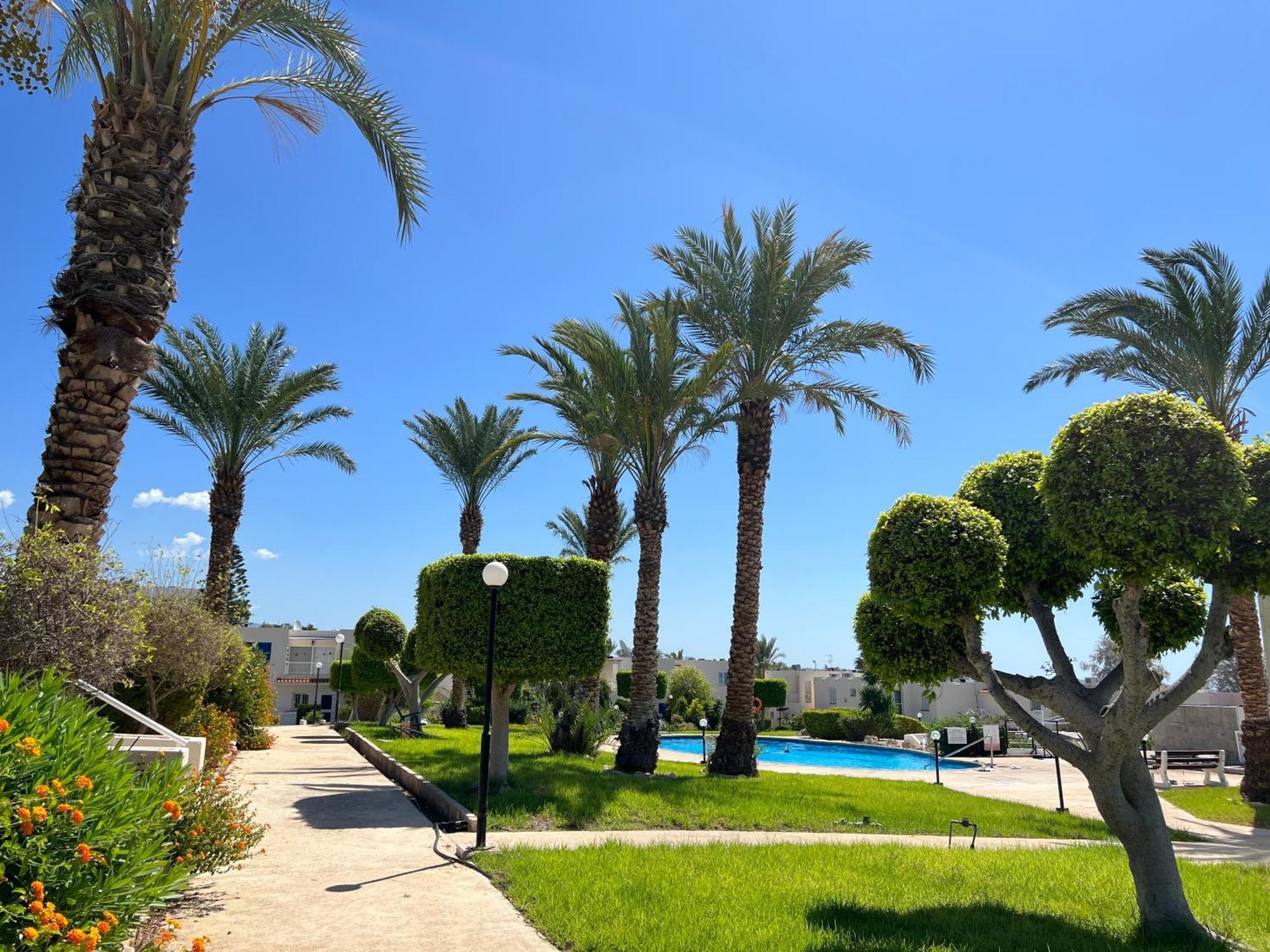 Modern Seaview Townhouse In Coral Bay (Adults Only) Apartment Peyia Exterior photo